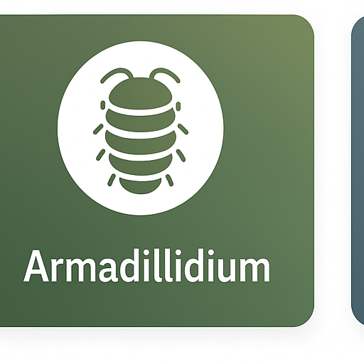 Armadillidium maculatum