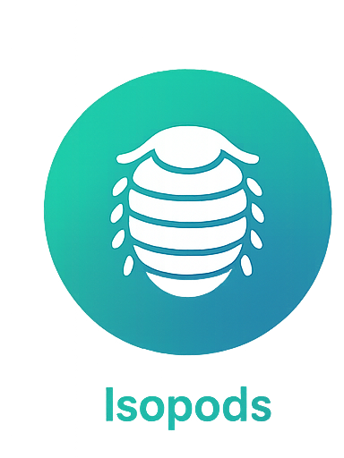 Isopods