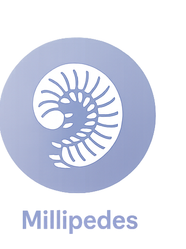 Millipedes