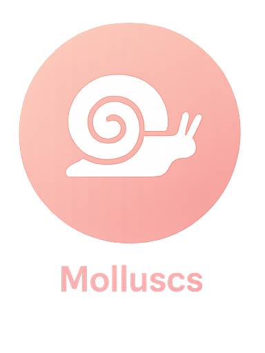 Molluscs