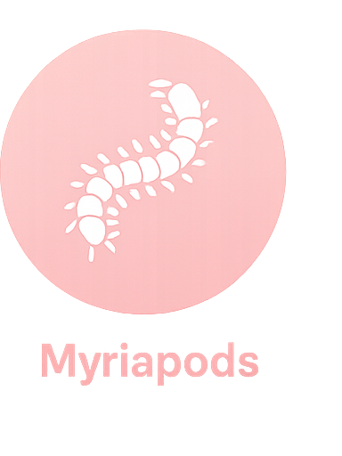 Myriapods